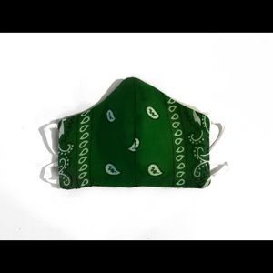 Green Paisley Face Mask